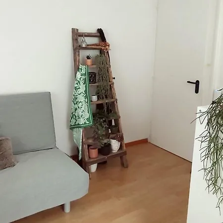 Apartment Exotia Apartements